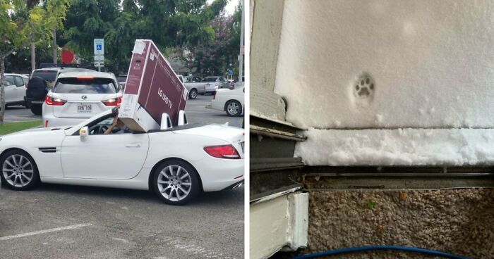 No Time To Read? 50 Funny Photos That Say It All Instantly