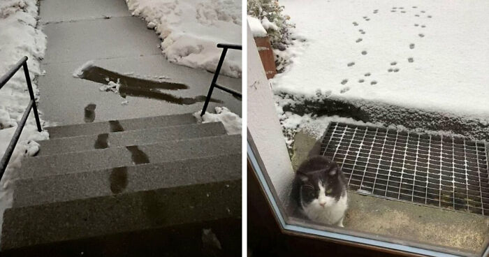 “A Sad Short Story”: 50 Pictures That Are Worth More Than A Thousand Words