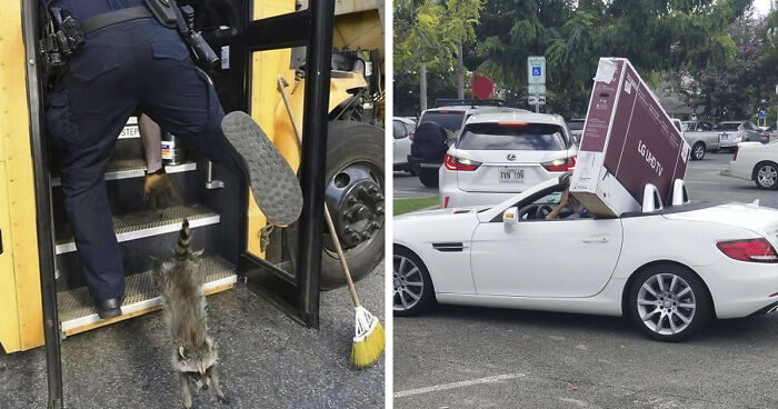 No Time To Read? 50 Funny Photos That Say It All Instantly