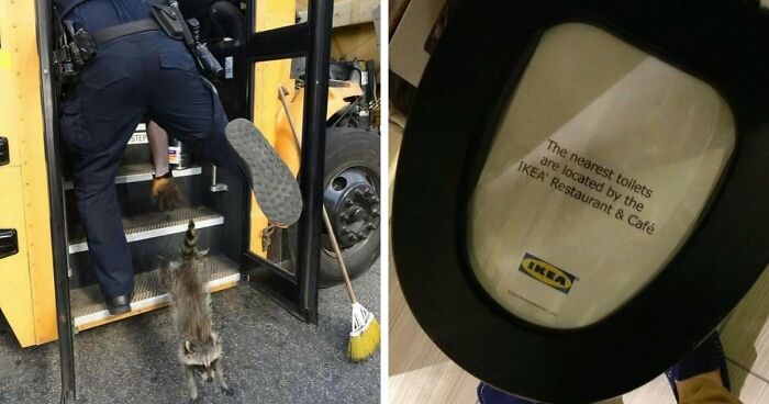 No Time To Read? 50 Funny Photos That Say It All Instantly