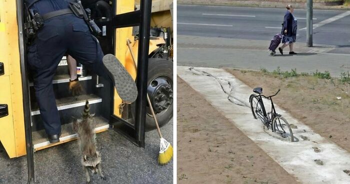 No Time To Read? 50 Funny Photos That Say It All Instantly