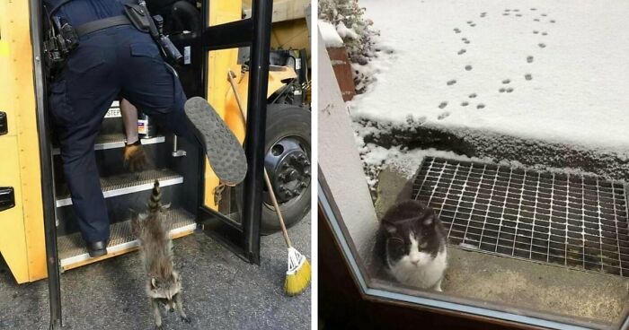 No Time To Read? 50 Funny Photos That Say It All Instantly