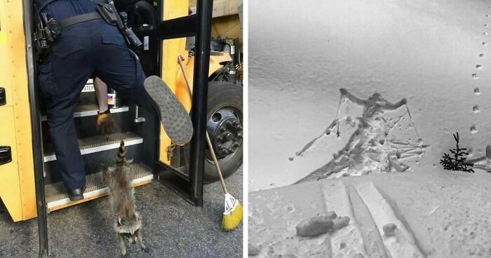 No Time To Read? 50 Funny Photos That Say It All Instantly