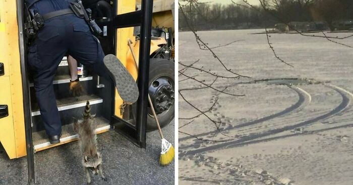 No Time To Read? 50 Funny Photos That Say It All Instantly