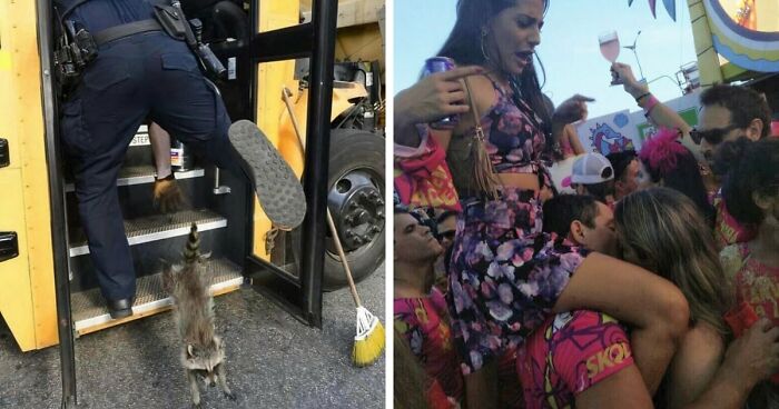 No Time To Read? 50 Funny Photos That Say It All Instantly