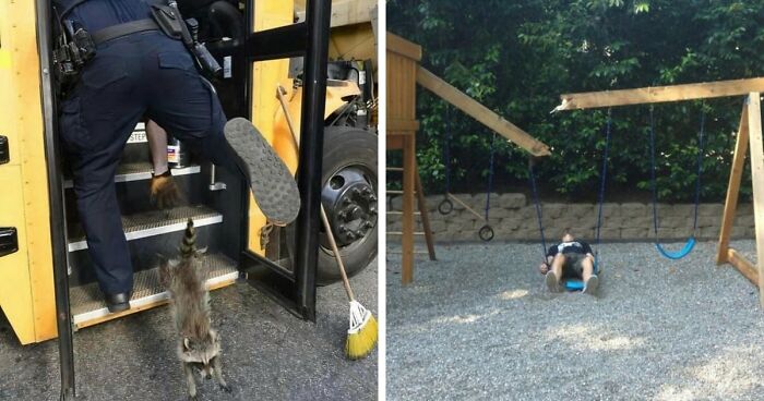 No Time To Read? 50 Funny Photos That Say It All Instantly