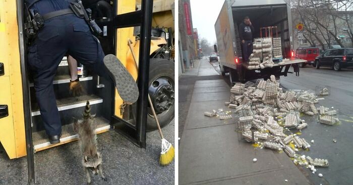 No Time To Read? 50 Funny Photos That Say It All Instantly