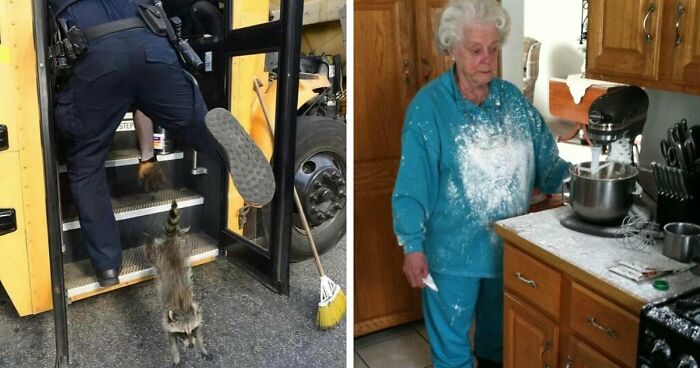 No Time To Read? 50 Funny Photos That Say It All Instantly