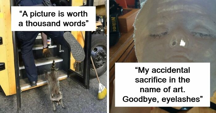 No Time To Read? 50 Funny Photos That Say It All Instantly