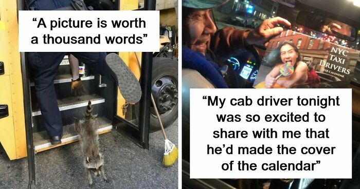 No Time To Read? 50 Funny Photos That Say It All Instantly