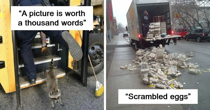 No Time To Read? 50 Funny Photos That Say It All Instantly