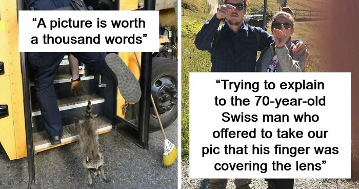 No Time To Read? 50 Funny Photos That Say It All Instantly