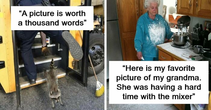 No Time To Read? 50 Funny Photos That Say It All Instantly