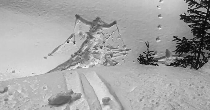 No Time To Read? 50 Funny Photos That Say It All Instantly