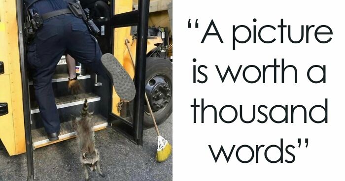 No Time To Read? 50 Funny Photos That Say It All Instantly