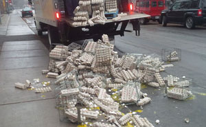 No Time To Read? 50 Funny Photos That Say It All Instantly