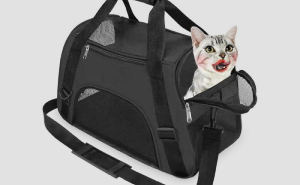 55 Bizarre Photoshop Mistakes That Somehow Made It Online