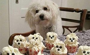 85 Irresistible Dog Moments Shared By This Community