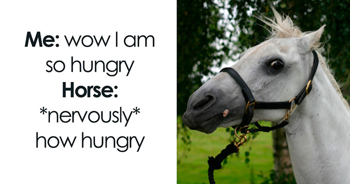 66 Funny Memes To Scroll Through When You’re Bored