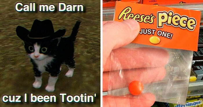 82 Memes That Range From Wild To “What Did I Just Read?”