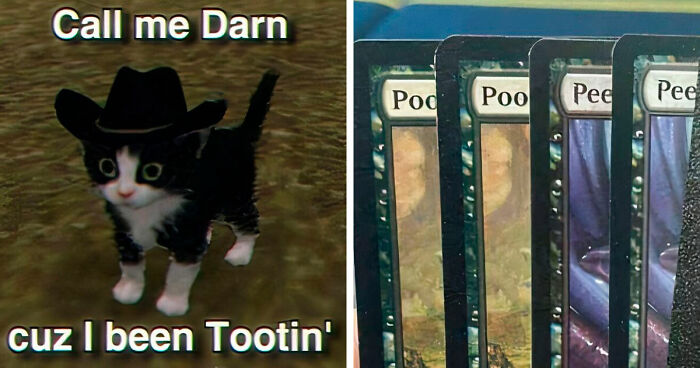 82 Memes That Range From Wild To “What Did I Just Read?”