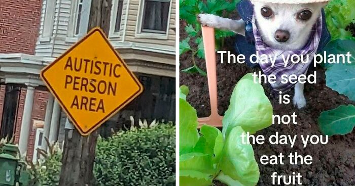 82 Memes That Range From Wild To “What Did I Just Read?”
