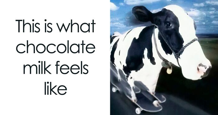 82 Memes That Range From Wild To “What Did I Just Read?”