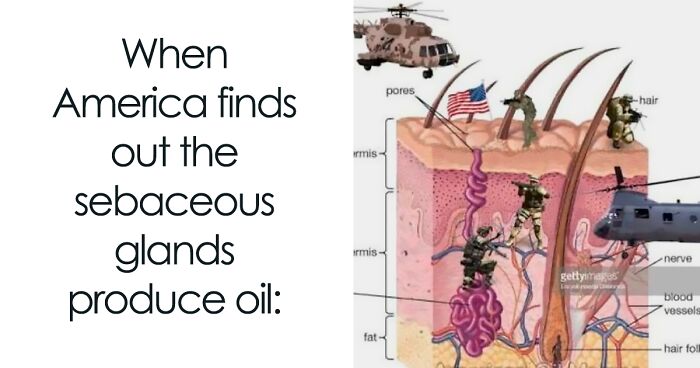 82 Memes That Range From Wild To “What Did I Just Read?”