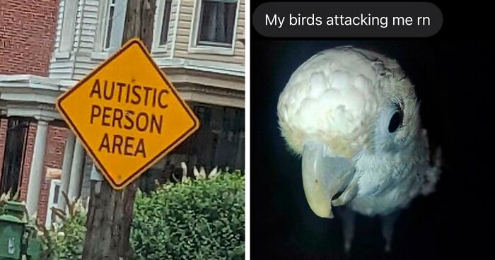 82 Memes That Range From Wild To “What Did I Just Read?”