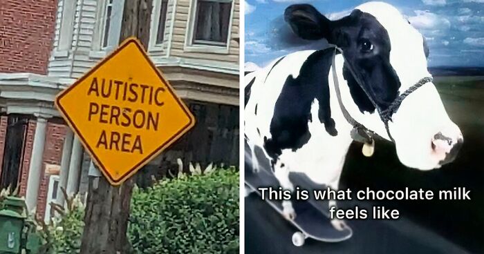 82 Memes That Range From Wild To “What Did I Just Read?”