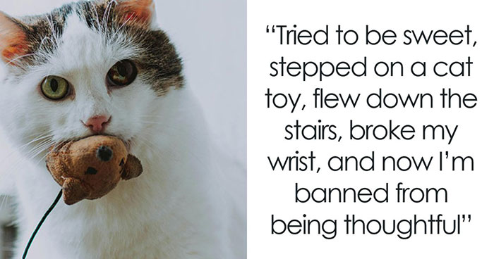 20 ‘Today I Messed Up Stories’ That Might Make You Feel Better About Your Own Life