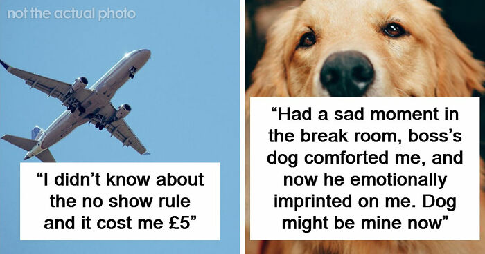 “I Feel Extremely Dumb”: 20 Hilarious Stories Of Moments When People Seriously Messed Up
