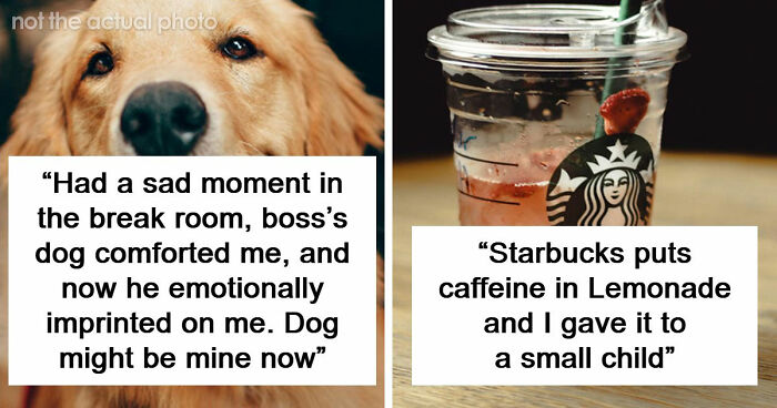 “I Feel Extremely Dumb”: 20 Hilarious Stories Of Moments When People Seriously Messed Up