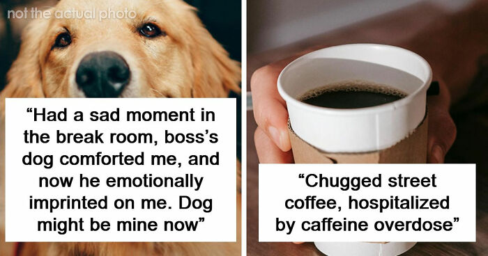 “I Feel Extremely Dumb”: 20 Hilarious Stories Of Moments When People Seriously Messed Up