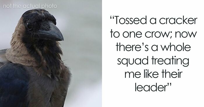 20 People Who Probably Had A Way Worse Day Than You