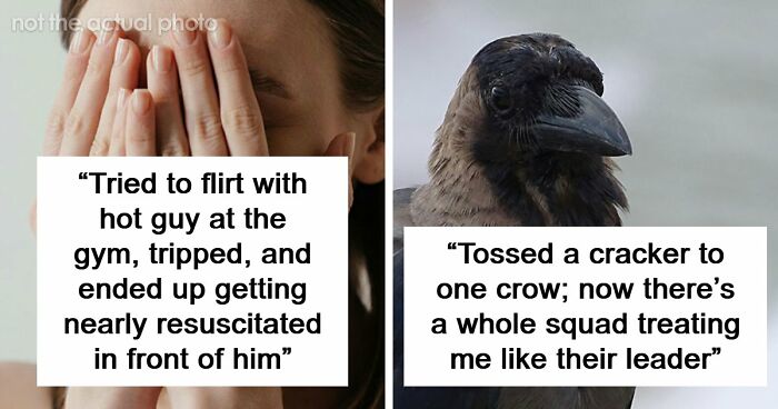 “I Feel Extremely Dumb”: 20 Hilarious Stories Of Moments When People Seriously Messed Up