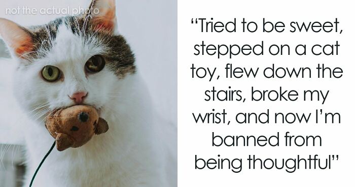 20 People Who Probably Had A Way Worse Day Than You