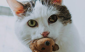 “I Feel Extremely Dumb”: 20 Hilarious Stories Of Moments When People Seriously Messed Up