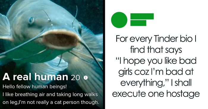 54 Tinder Profiles That Went So Off The Rails That Even Cupid Did A Double Take