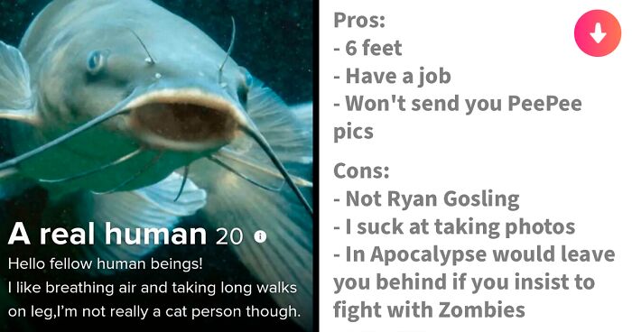54 Tinder Profiles That Went So Off The Rails That Even Cupid Did A Double Take