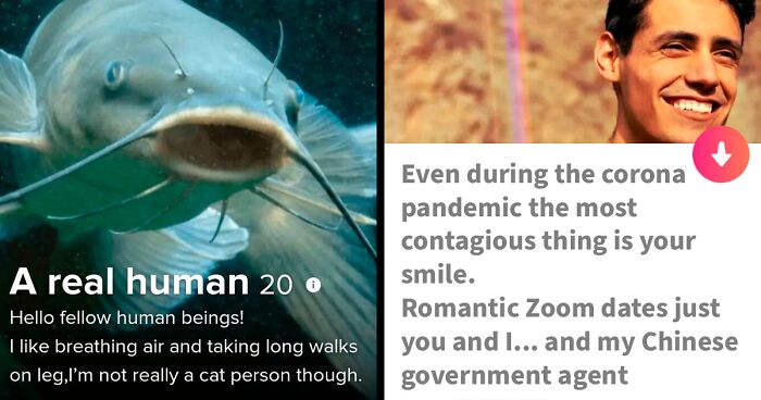 54 Tinder Profiles That Went So Off The Rails That Even Cupid Did A Double Take