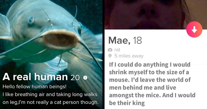 54 Tinder Profiles That Went So Off The Rails That Even Cupid Did A Double Take