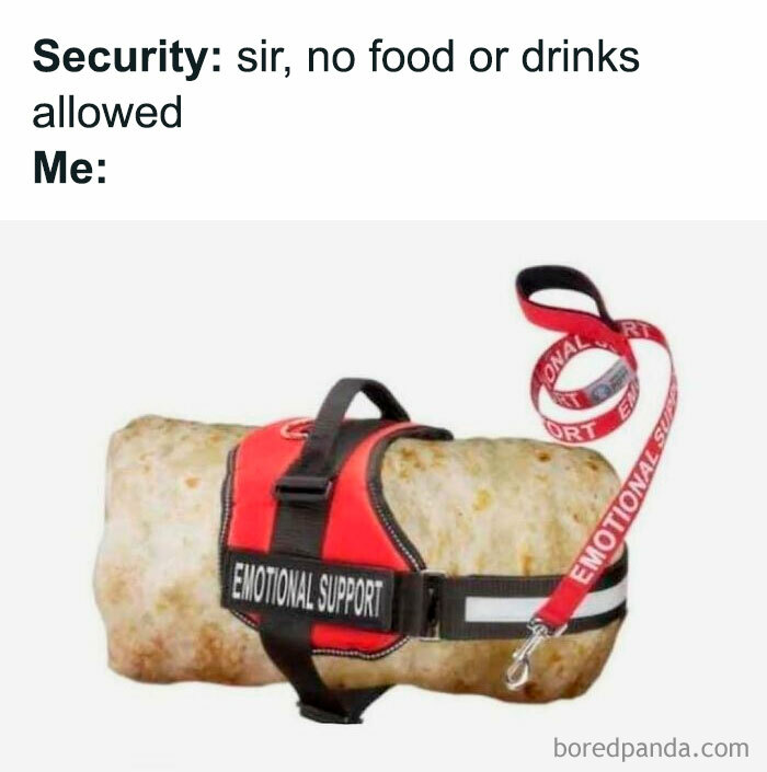 Travel meme showing a burrito with an emotional support harness, humorously addressing travel security rules.
