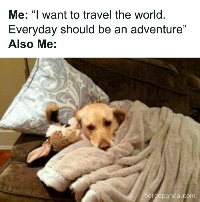 Dog wrapped in a blanket on a couch with a stuffed toy, illustrating hilarious travel memes about actual travel expenses.