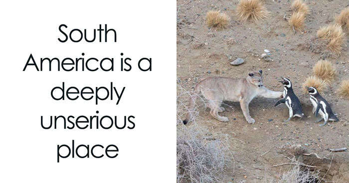 40 Hilarious Posts From X That Might Make You Giggle