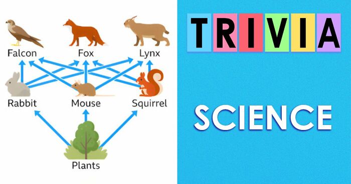 Test Your Science Knowledge With This 28-Question UK Final Exam