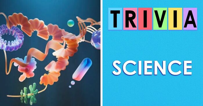 Non-Brits Struggle With These 28 UK School Science Questions: Test Yourself