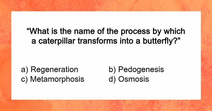 These 32 General Knowledge Questions Will Test Every Corner Of Your Brain