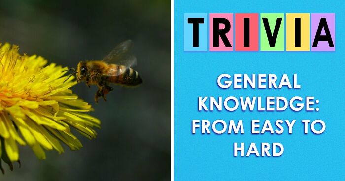 These 32 General Knowledge Questions Will Test Every Corner Of Your Brain