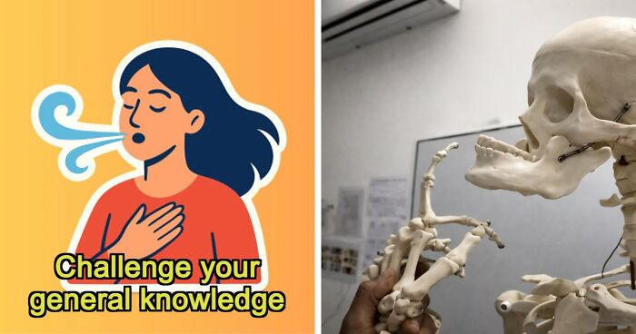 From Einstein To SpongeBob – Type The Right Answers To 35 General Knowledge Questions